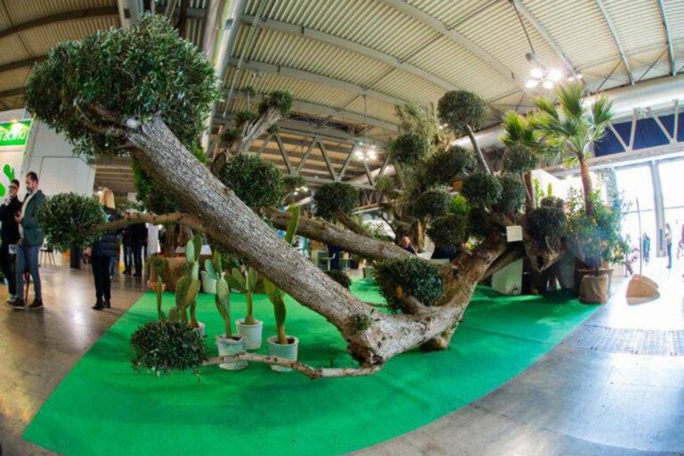 Myplant&Garden, X edizione dal 18 al 20 febbraio 2026 a Fiera Milano Rho