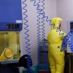 Shamonda virus, primo caso umano: cosa sappiamo, tutti i rischi