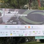 ‘World Buffalo Congress’ road map per futuro con meno burocrazia e più innovazione